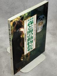 北海道森と海の動物たち