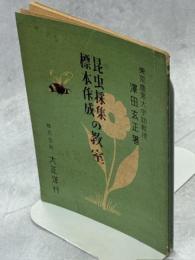 昆虫採集・標本作成の教室