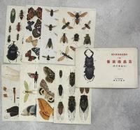 昆虫絵葉書　内地産昆虫(一)、(ニ)