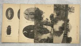 滋賀県守山市の守山川・鍛冶屋川の源氏蛍(絵葉書4枚)