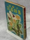 日曜の昆虫採集