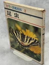 昆虫