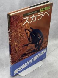 スカラベ : 写真昆虫記
