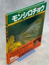 モンシロチョウ