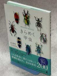 きらめく甲虫
