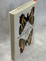 ギフチョウ・ヒメギフチョウ : 生態写真