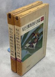 原色日本蝶類幼虫大図鑑