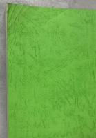 世界のトンボ分布目録　2000