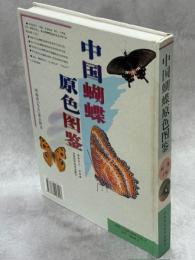 中国蝴蝶原色図鑑