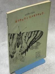 ギフチョウとヒメギフチョウ : 長野県の昆虫