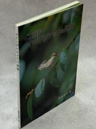 "1994"イシガケチョウの飛翔