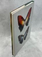 Butterflies of the Neotropical Region PartⅡDanaidae, Ithomiidae, Heliconidae＆Morphidae