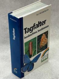 Tagfalter beobachten, bestimmen