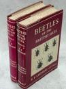 Beetles of the British Isles
