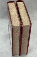 Beetles of the British Isles