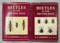 Beetles of the British Isles