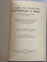 A guide to collecting butterflies of India, detailing over 600 forms in the text