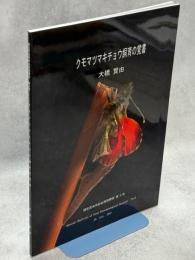 クモマツマキチョウ飼育の覚書