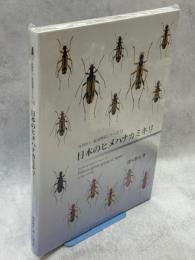 日本のヒメハナカミキリ