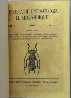 Longicórnios de Moçambique