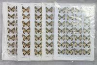 青森の蝶　特集・東北のヒメギフチョウ　全5冊(青森、秋田、岩手、宮城・福島、山形)揃