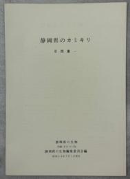 静岡県のカミキリ