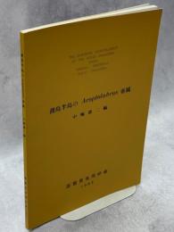 渡島半島のAcoptolabrus亜属