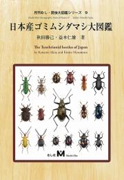 日本産ゴミムシダマシ大図鑑