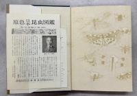 原色日本昆虫図鑑