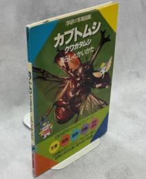 カブトムシクワガタムシ : くらしとかいかた