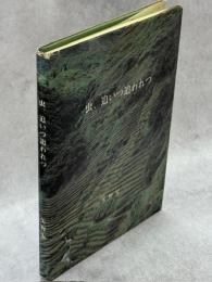 虫、追いつ追われつ