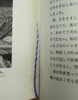 世界のアゲハチョウ