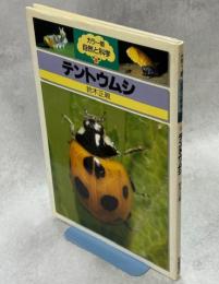 テントウムシ