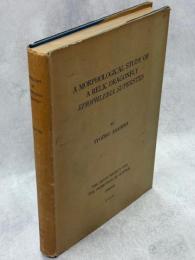 A Morphological Study of a Relic Dragonfly Epiophlebia superstes Selys (Odonata, Anisozygoptera)
