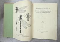 A Morphological Study of a Relic Dragonfly Epiophlebia superstes Selys (Odonata, Anisozygoptera)