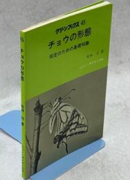 チョウの形態 : 同定のための基礎知識