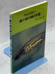蝶や蛾の蛹の形態