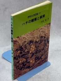 ハチの観察と飼育