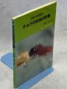 チョウの幼虫の形態