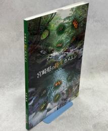 宮崎県の陸生カメムシ