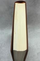 図鑑 東南アジア島嶼の蝶