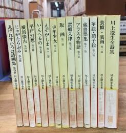 中公文庫版カラーシリーズ　川上澄生全集　全14巻揃