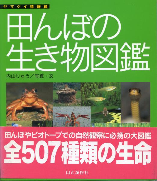 田んぼの生き物図鑑 内山りゅう 写真 文 古本 中古本 古書籍の通販は 日本の古本屋 日本の古本屋