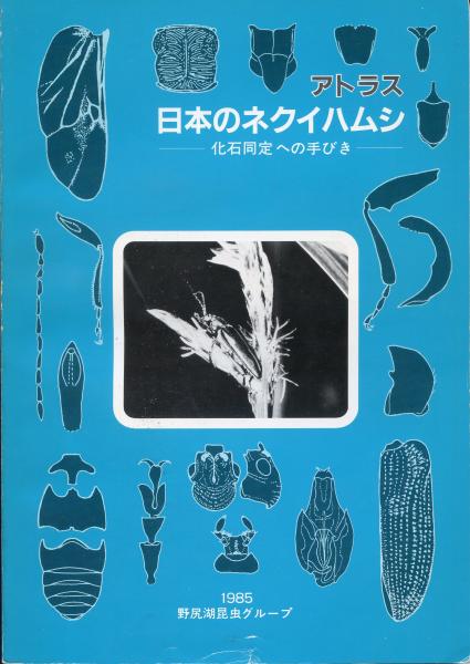 「かわいい～！」 アトラス・日本のネクイハムシ = Japanese the of Atlas 趣味・スポーツ・実用