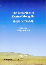 中央モンゴルの蝶