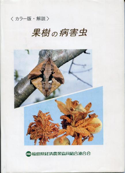 アゲハチョウの生物学(阿江茂著) / 南陽堂書店 / 古本、中古本
