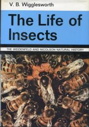 The Life of Insects

