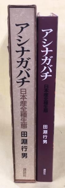 日本産全種生態 アシナガバチ 田淵行男 講談社 第1刷 日本産全種生態 アシナガバチ 田淵行男 講談社 第1刷