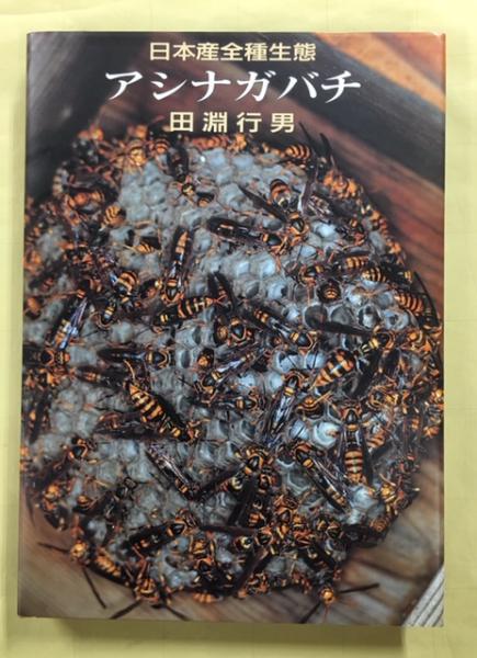 日本産全種生態 アシナガバチ 田淵行男 講談社 第1刷 アシナガバチ : 日本産全種生態(田淵行男 著) / 古本、中古本