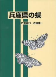 兵庫県の蝶